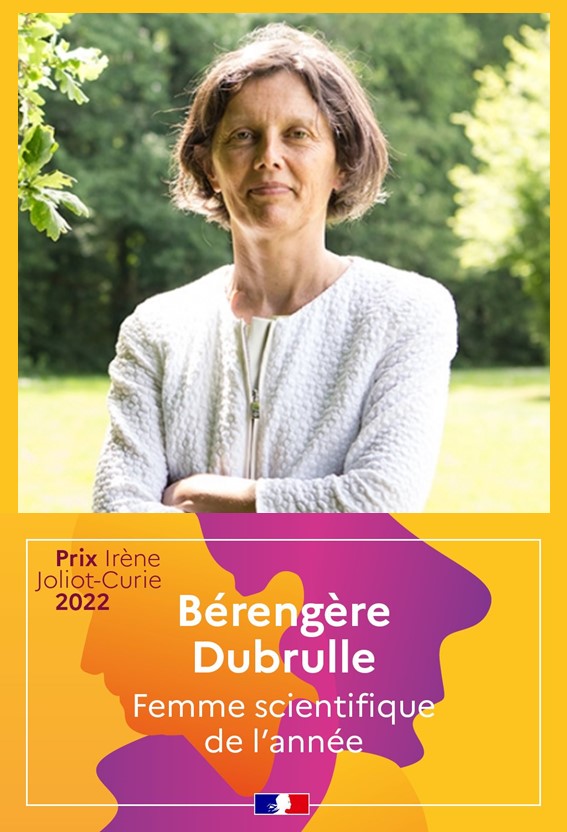 Bérengère Dubrulle