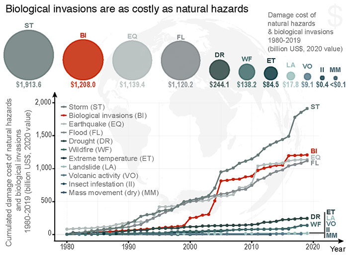 Coûts économiques des dommages causés par les catastrophes naturelles (en gris) et par les invasions biologiques 