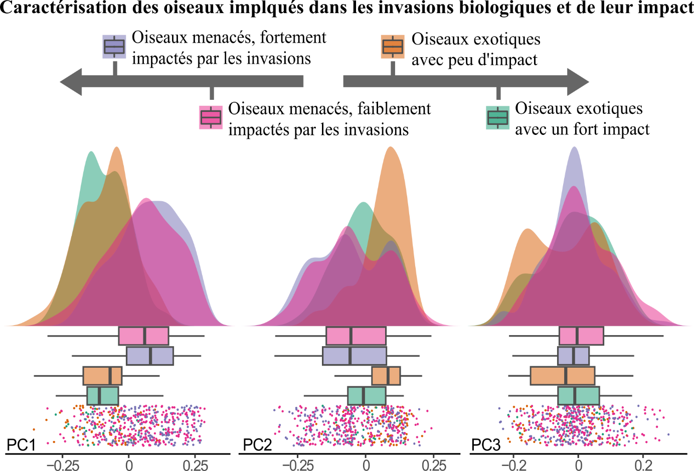 Ce graphique montre la distribution des oiseaux menacés et des oiseaux exotiques le long des axes de leur espace fonctionnel