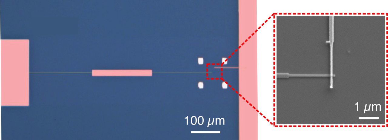 image au microscope optique du résonateur
