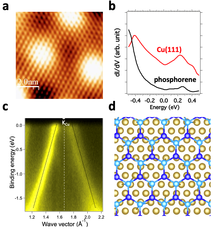 Des électrons de Dirac dans un feuillet de phosphorène bleu