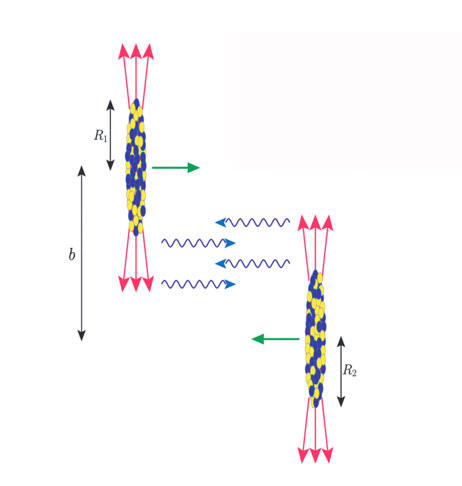 Figure 1 : Vue schématique de 2 noyaux de plomb entrant en collision avec leurs nuages de photons associés