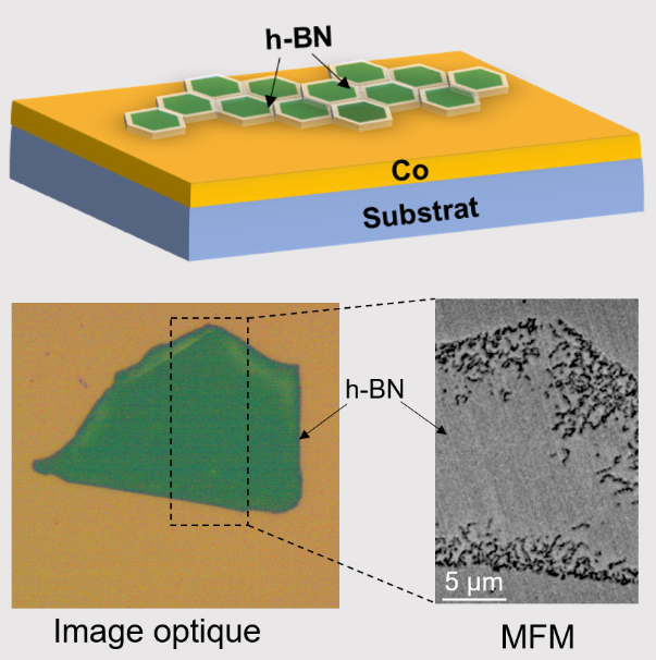 Schéma des multicouches, image optique et skyrmions stabilisés par un faible champ magnétique (13 mT) observés à température ambiante par Microscopie à Force Magnétique