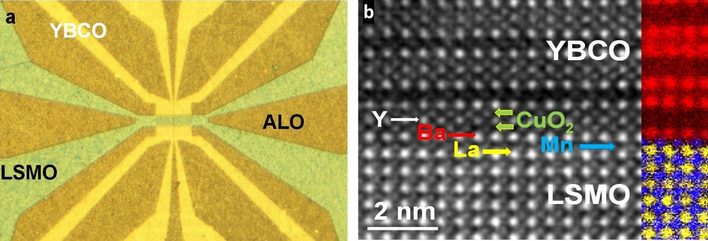 Légende : (a) Image d’un dispositif vue d’en haut (microscopie optique), ALO désigne l'oxyde d'aluminium Al2O3. (b) Image de microscopie électronique en transmission montrant une coupe transversale de l’interface YBCO/LSMO. Les couleurs à droite correspondent à une cartographie réalisée par spectroscopie d'électrons des atomes de baryum en rouge, de lanthanide en jaune et de manganèse en bleu montrant nettement l'interface entre les deux matériaux. 