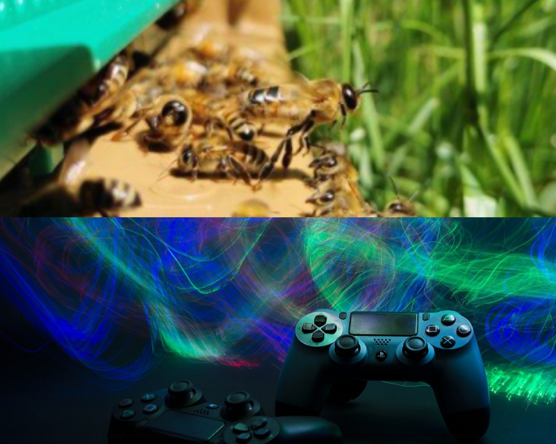 Abeilles et jeux vidéo 