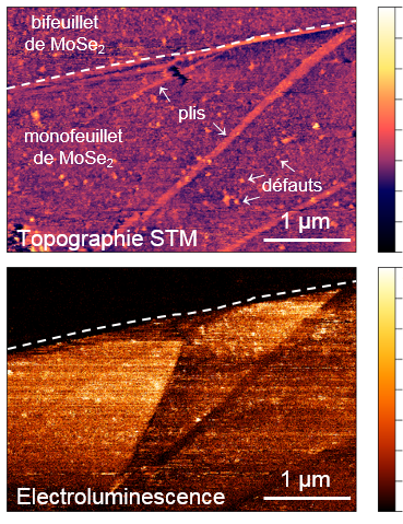 Images d’un feuillet de diséléniure de molybdène 
