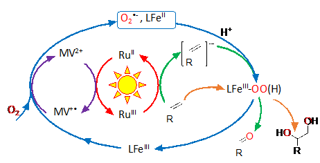 Schéma de la photocatalyse