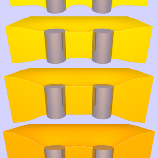 Nanomécanique des membranes cellulaires 