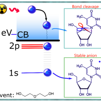 Electrons