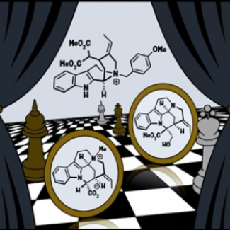 Synthese d un alcaloide 