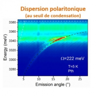 Polaritons
