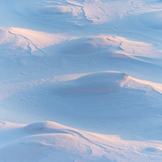 Image de neige blanche