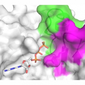 Illustration de la GATPase
