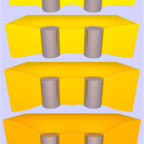 Nanomécanique des membranes cellulaires 