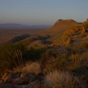 Hemisphere nord, exemple de végétation 