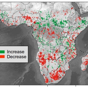 Carte de l'afrique avec diminution au sud et augmentation au nord