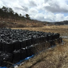 Décontamination à fukushima