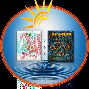 Un polymère conjugué nanostructuré pour la photosynthèse artificielle