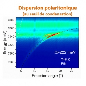 Polaritons