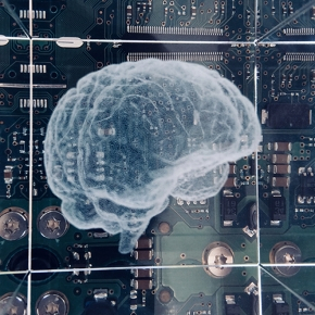 Représentation cerveau translucide