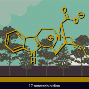 Représentation alcaloide devant des arbres dessinés