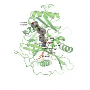 Ne m’appelez pas par mon nom ! NMT dévoile un double jeu.